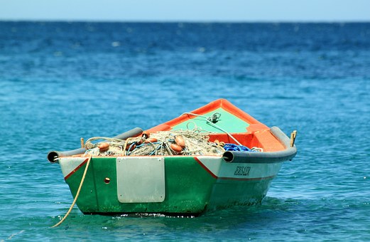 Pêche : de plus en plus de bateaux et de moins en moins de poissons dans les océans