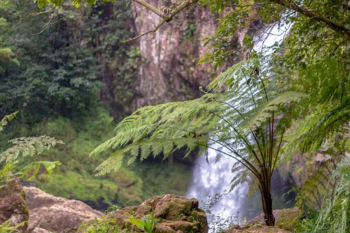 Notre santé dépend de la biodiversité