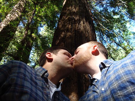 Il n’y a pas de « gène gay » déterminant la préférence sexuelle