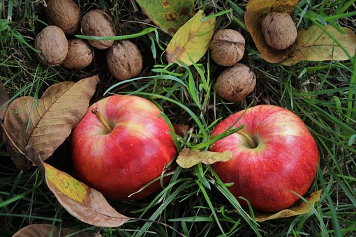 Les pommes sont remplies de bactéries