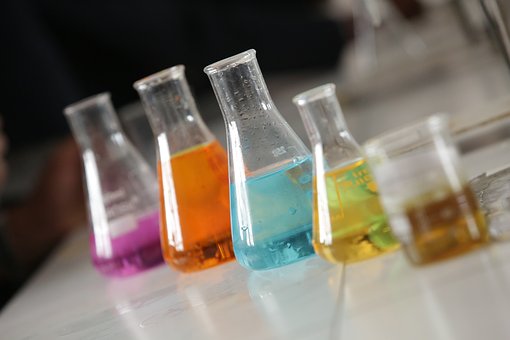 Les bactéries sont à l’origine de la vie et de la vie complexe