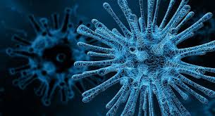 Des virus et des bactéries qui protègent des cancers