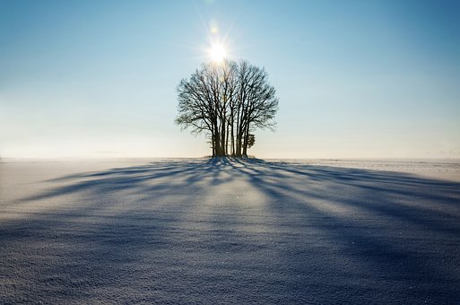 Le soleil modifie notre fabrication de vitamine D et notre microbiote