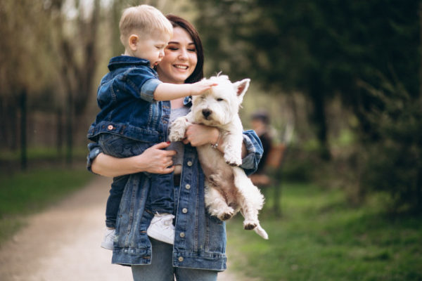 Adoptez un chien contre l’allergie alimentaire