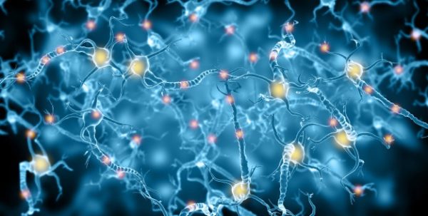 Alzheimer, l’hypothèse Prion