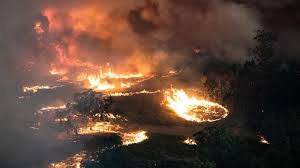 La gravité des incendies en Australie en 6 chiffres