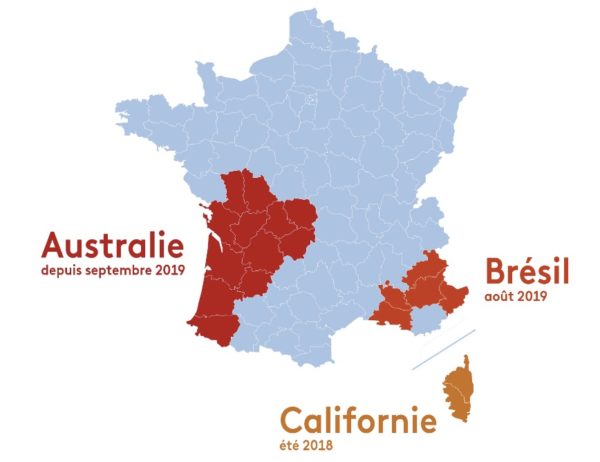 Trois graphiques pour comprendre l’ampleur des incendies en Australie