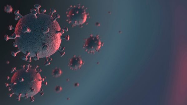 Monologue du virus