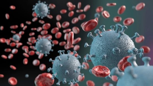Le Covid-19 est une inflammation vasculaire systémique
