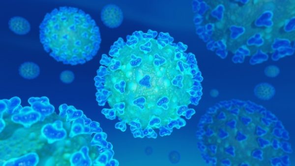 La première théorie globale sur le Coronavirus