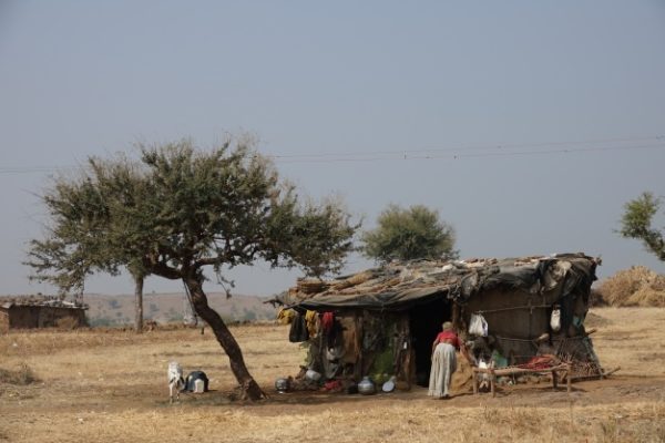 Afrique : la catastrophe annoncée n'a pas eu lieu