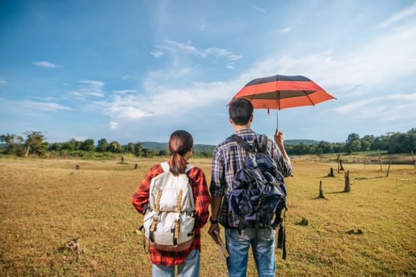 Réchauffement climatique, de + 4,5° à + 7°