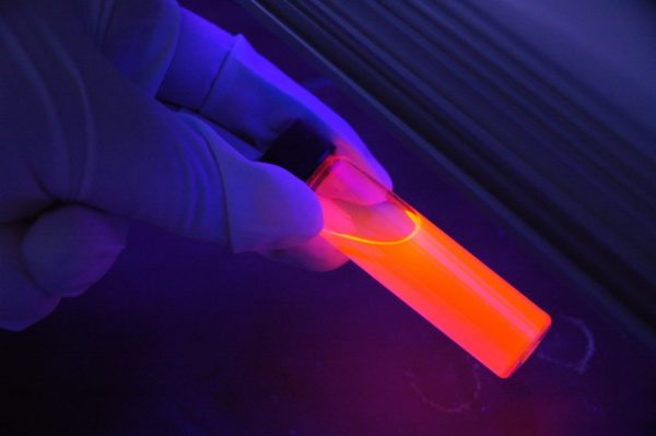Lumière sur les tests