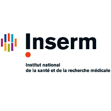 Rien n’arrête les anti-chloroquine et les anti-Raoult