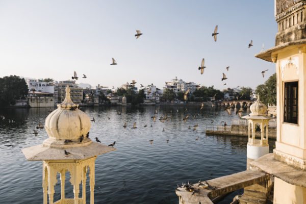 La mystification du Covid19 en Inde : les faits réels