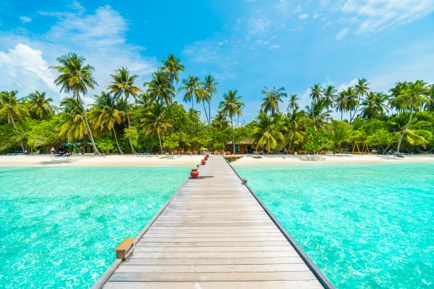 Maldives 203-5352