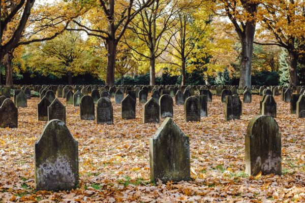 D’après une étude le chiffre des 68 000 morts de Covid-19 en France a été gonflé