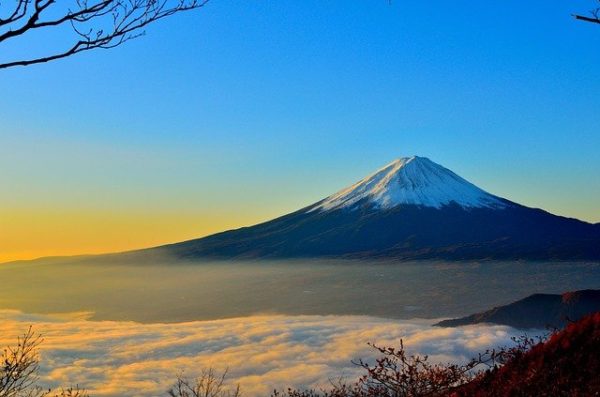 Japon : la pandémie a disparu...