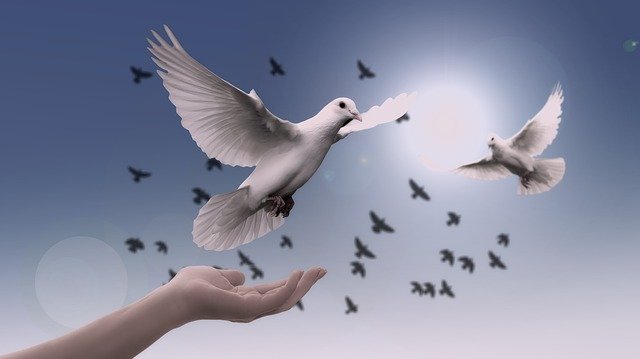 Liberté
